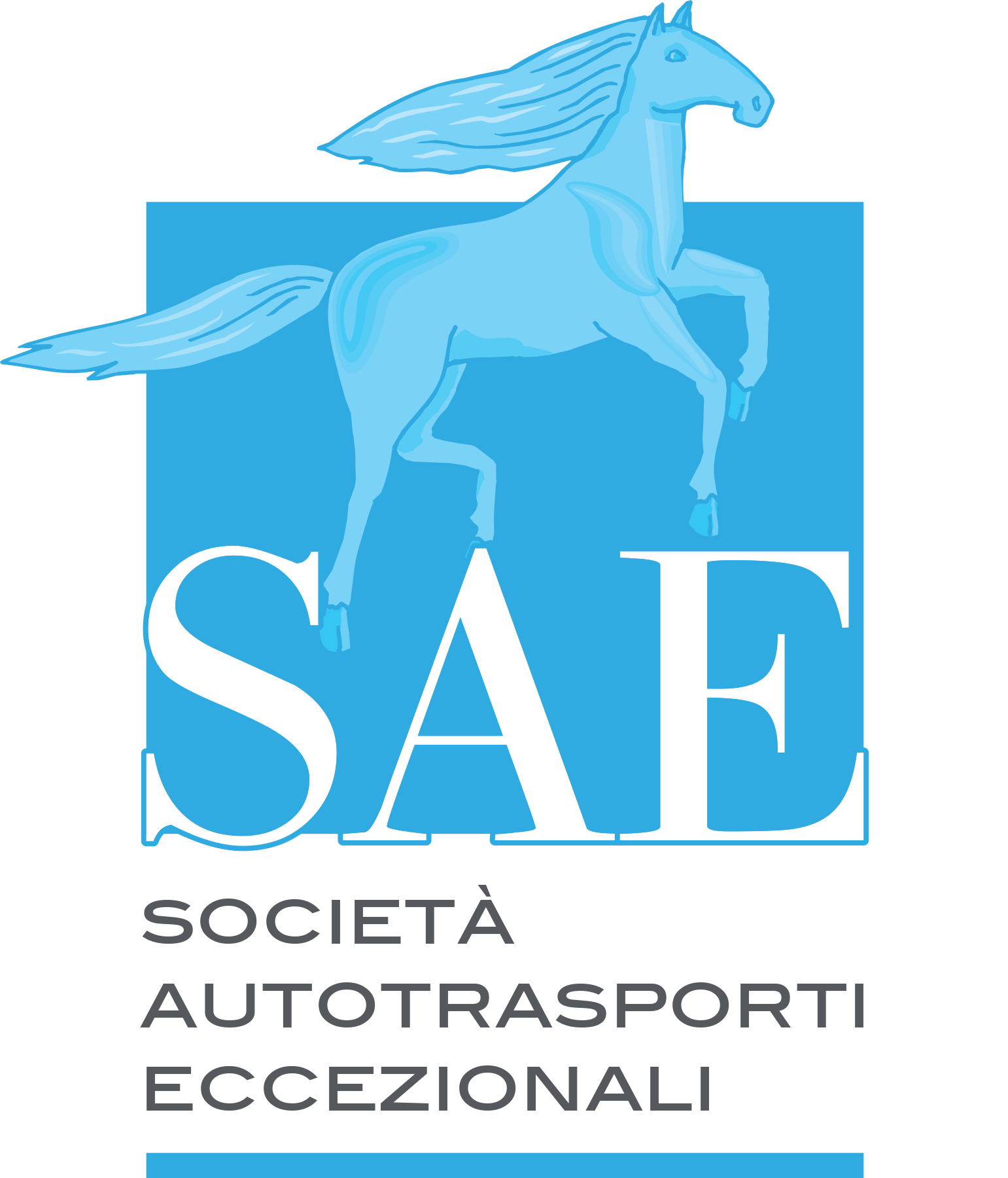 SOCIETÀ AUTOTRASPORTI ECCEZIONALI S.R.L