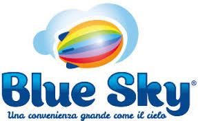 BLUE SKY HOME SOLUTIONS