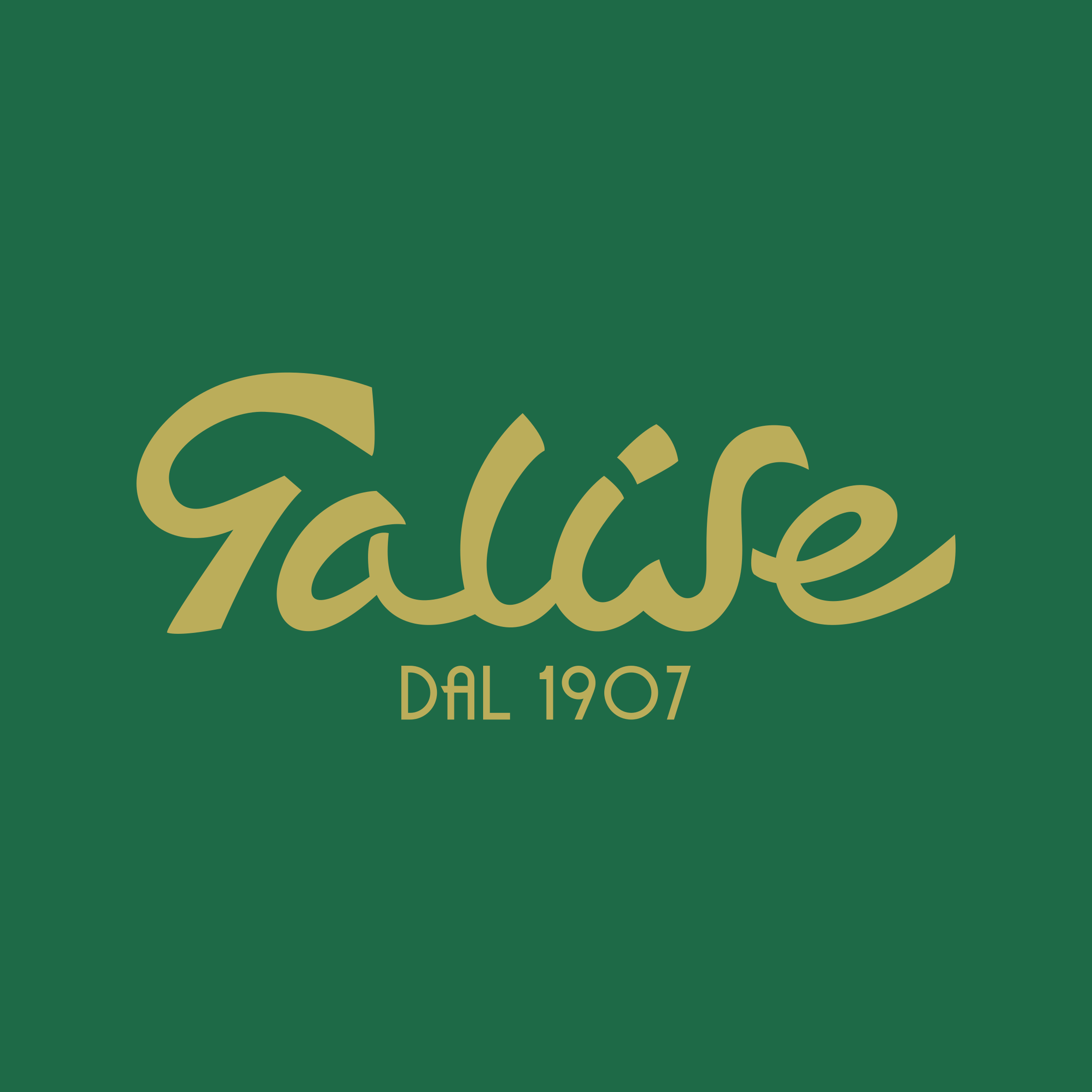 logo GALISE CARLO
